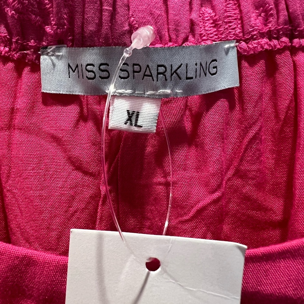 Hot pink eyelet dress with poufy sleeves. NWT. Gift ready. Size XL - Picture 4 of 5